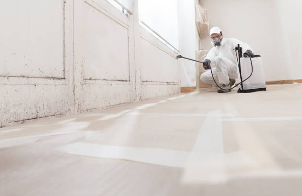 Black mold remediation team in Liberty Hill